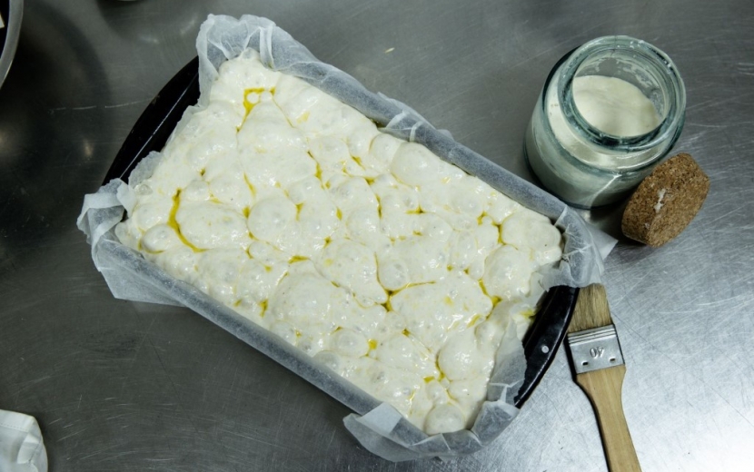 lorem ipsum dolor sit