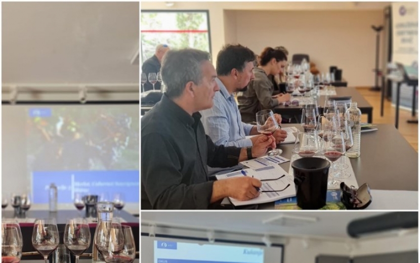 lorem ipsum dolor sit