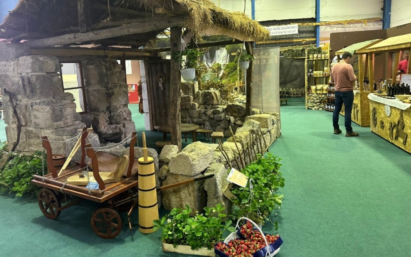 lorem ipsum dolor sit