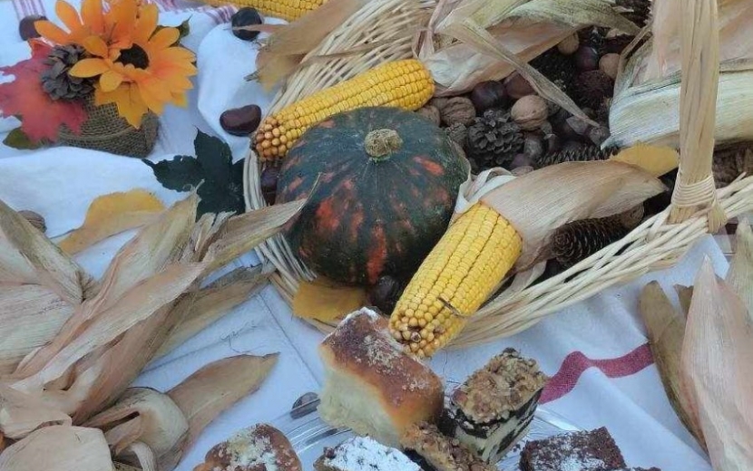 lorem ipsum dolor sit