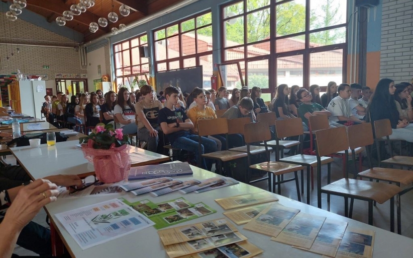 lorem ipsum dolor sit