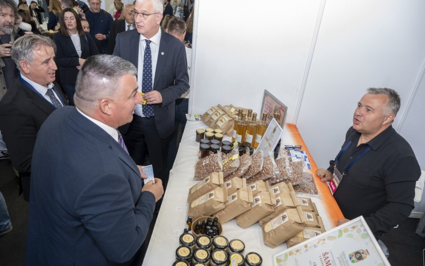 lorem ipsum dolor sit