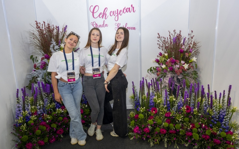 lorem ipsum dolor sit