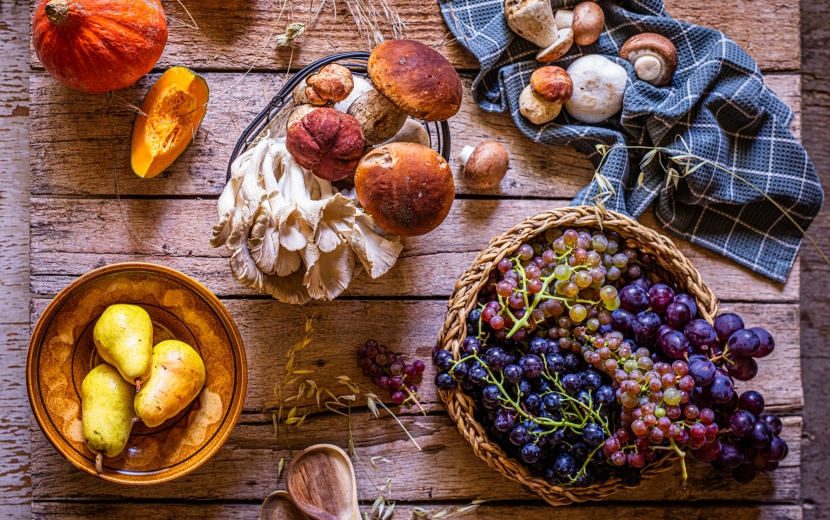 lorem ipsum dolor sit